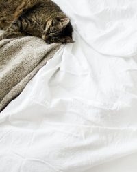 sarah-dorweiler-06wMGv3GF8k-unsplash